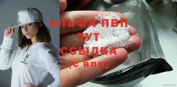 spice Богородицк