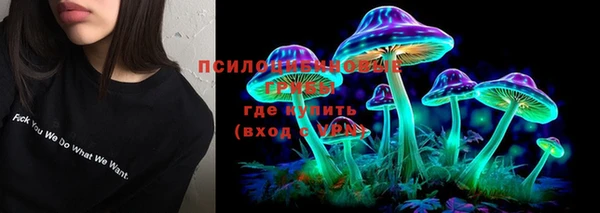 дживик Богданович