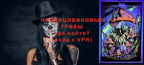 spice Богородицк